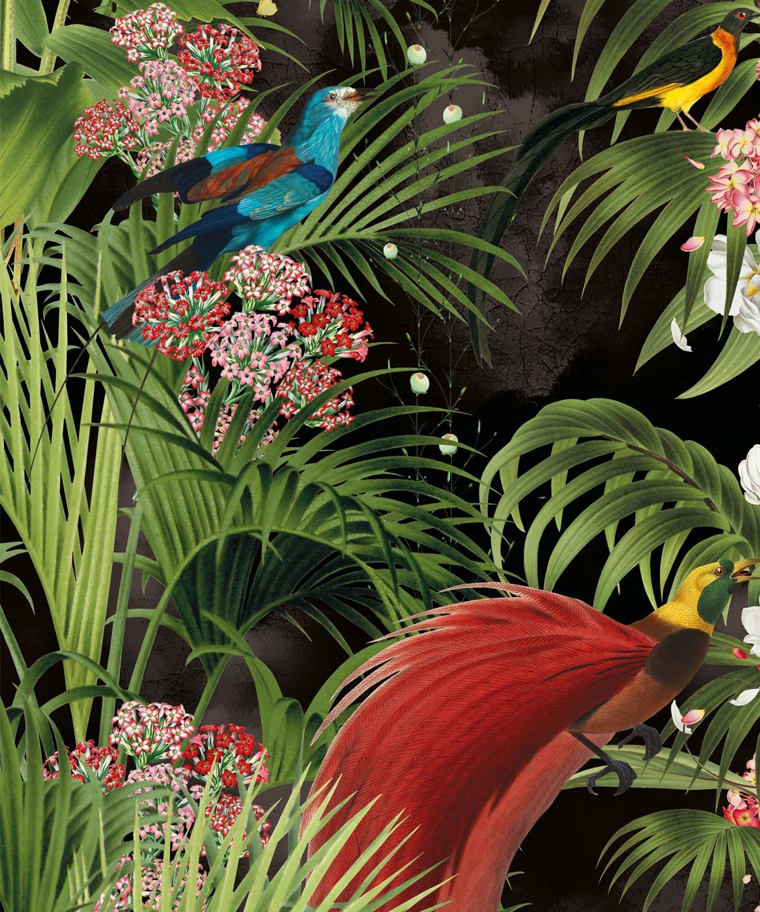 Paradise Wallpaper - Black Tropical Botanical Wallpaper