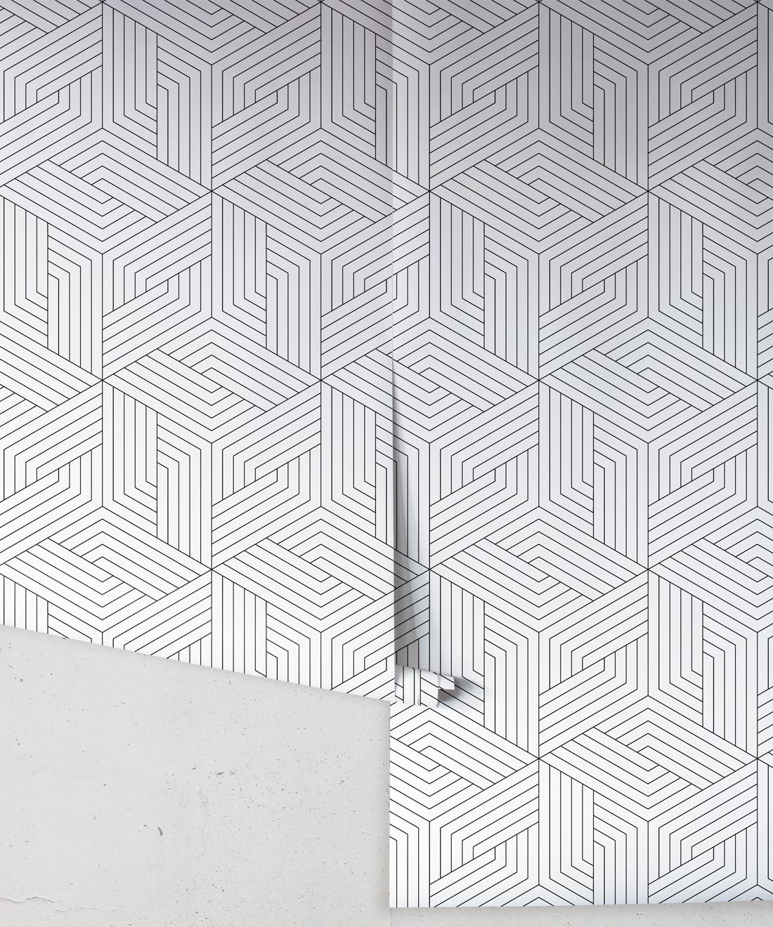 Black Geometric Illusions • Milton & King