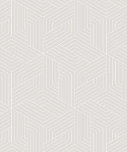 Warm Grey Geometric Illusions • Milton & King