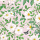 Rosa Wallpaper • Floral Wallpaper • Blush • Swatch