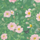 Rosa Wallpaper • Floral Wallpaper •Forest Green • Swatch