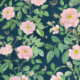 Rosa Wallpaper • Floral Wallpaper •Rose Pink • Swatch